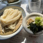 うどん職人さぬき麺之介 - ザルうどん