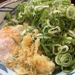 Marugame Seimen Harugai Nishiyamacho Ten - とろ玉うどん（温）590円