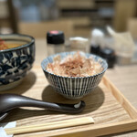 Kyo Curry Udon ECHIGOYA - 