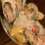 Oyster Bar Jackpot Fuchu - 