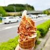 道の駅　ひらた - 料理写真:ハバネロソスト・上級(470円)