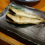 Ishikari Gawa - 