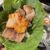 Samgyeopsal Senmon Ten Bejiteji Ya Shijo Karasuma Ten - 