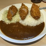 Tonkatsu Aoki no Curry Ya Ippekoppe Kitasenju Ten - ひれかつカレー