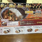 Curry House Spicy Aporo Ten - 