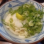 Marugame Seimen Kyotango Ten - おろし醤油冷