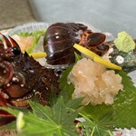 天草地魚料理 いけすやまもと - 