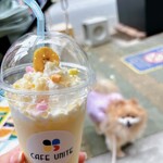 CAFE UNITE - 