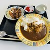 ピアハウスポーアイ - 料理写真:カレーライス　３７０円＋とんかつ（単品おかず）　２４０円