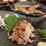 Shichirin Yakitori Ichicho Sekime Ten - 