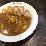 CoCo Ichiban Ya Tobu Shimo Akatsuka Eki Mae Ten - イカやさいFCカレー（3辛）税込1,025円