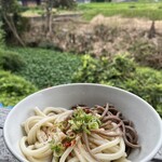 池内うどん店 - 