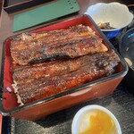 川魚料理 うおたつ - うな重