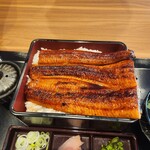 unagi no naruse Shinkoyasu Ekimae Ten - 