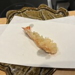 Tempura Sen no Tane - 