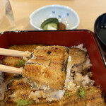 Unagi Kubota - 