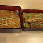 Unagi Kubota - 