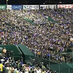 HANSHIN KOSHIEN STADIUM - 