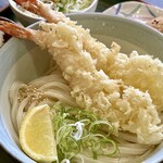 Kame Ya - 海老天麩羅ぶっかけうどん