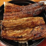 Unagi no Mitsuru - 