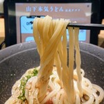 Yamashita Honki Udon Urawa Paruko - 冷玉うどん大880円