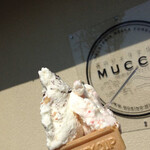 Mori no Gelateria MUCCA - 