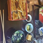 Unagi Matsukawa - 