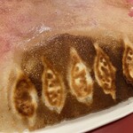 Shandong Gyoza Honpo Ekoda Ten - 