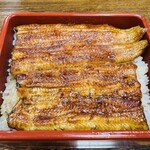 Unagi Hamana - 