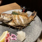 Regional cuisine Jizake Hayashi - ノドグロの塩焼き。本日のメイン