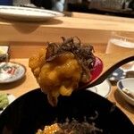 Sushi Takamitsu - 大好きな雲丹3種とカマトロのウニご飯