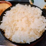 掛川いも汁処　とろろ本丸 - 天ノ本丸(てんのほんまる)のご飯(麦飯270g)