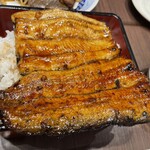 Unagi Yonehana - 