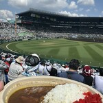 HANSHIN KOSHIEN STADIUM - 