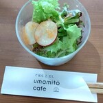 ごはん と だし umamito cafe - サラダ