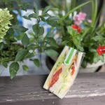 Tezukuri Sandwich no Mise cook33 Tanakamachiten - 