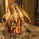 Robata Seafood Bishoku Shuyuu 3 Tsu no Motif Private rooms Jocho Nihonkai Shinjuku Ten - 