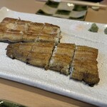 Unagi Kubota - 