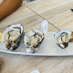 OYSTER CAFE ETAJIMA - 