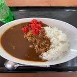 9 Byo Curry Narita Sanrizuka Ten - ９秒カレー（普通盛）¥500