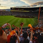 HANSHIN KOSHIEN STADIUM - 