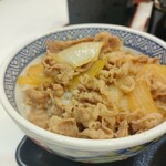 Yoshinoya Odakyu Ebinna Eki Ten - 