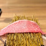 Yakiniku Namonaki Meiten e Ittou Nyuukon Ichimai Uri Yakiniku - 