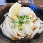 Udon Dokoro Gotto - 