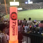 HANSHIN KOSHIEN STADIUM - 