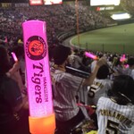 HANSHIN KOSHIEN STADIUM - 