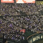 HANSHIN KOSHIEN STADIUM - 