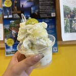 Hau tree gelato - 