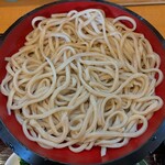 龍巳うどん - 料理写真: