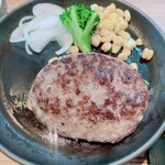 Torokeru Hamburger steak Fukuyoshi Gifu Oashis Park Ten - 